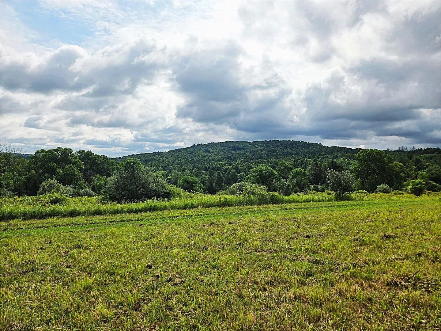 Vacant Land in Binghamton - Binghamton, New York, 13905
