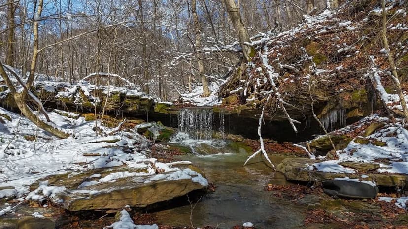 Twp Rd 366 - 80 acres