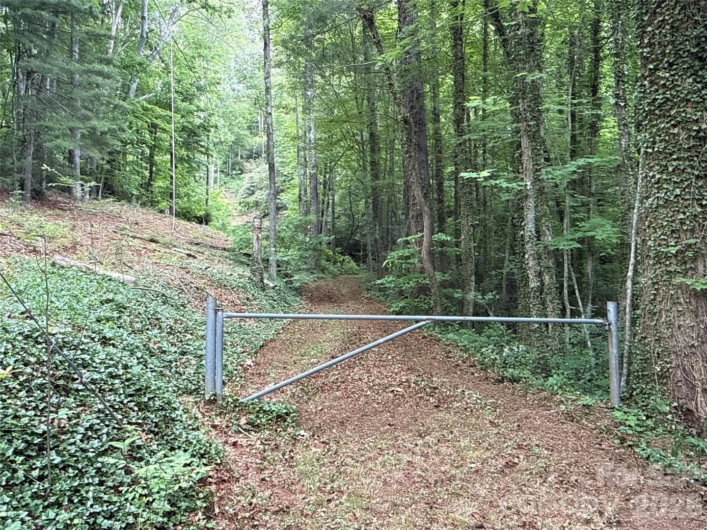 Property from 9999 Sunset Drive - KW - Black Mountain, North Carolina, 28711
