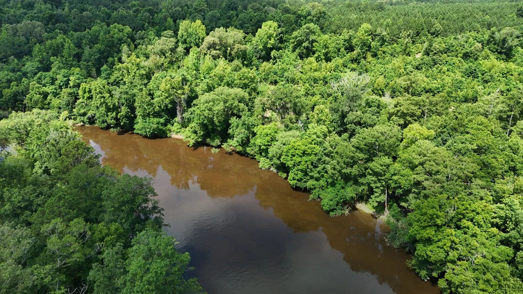 Saline River Tract 8 - 97+/- Acres - Lacey, Arkansas, 71675