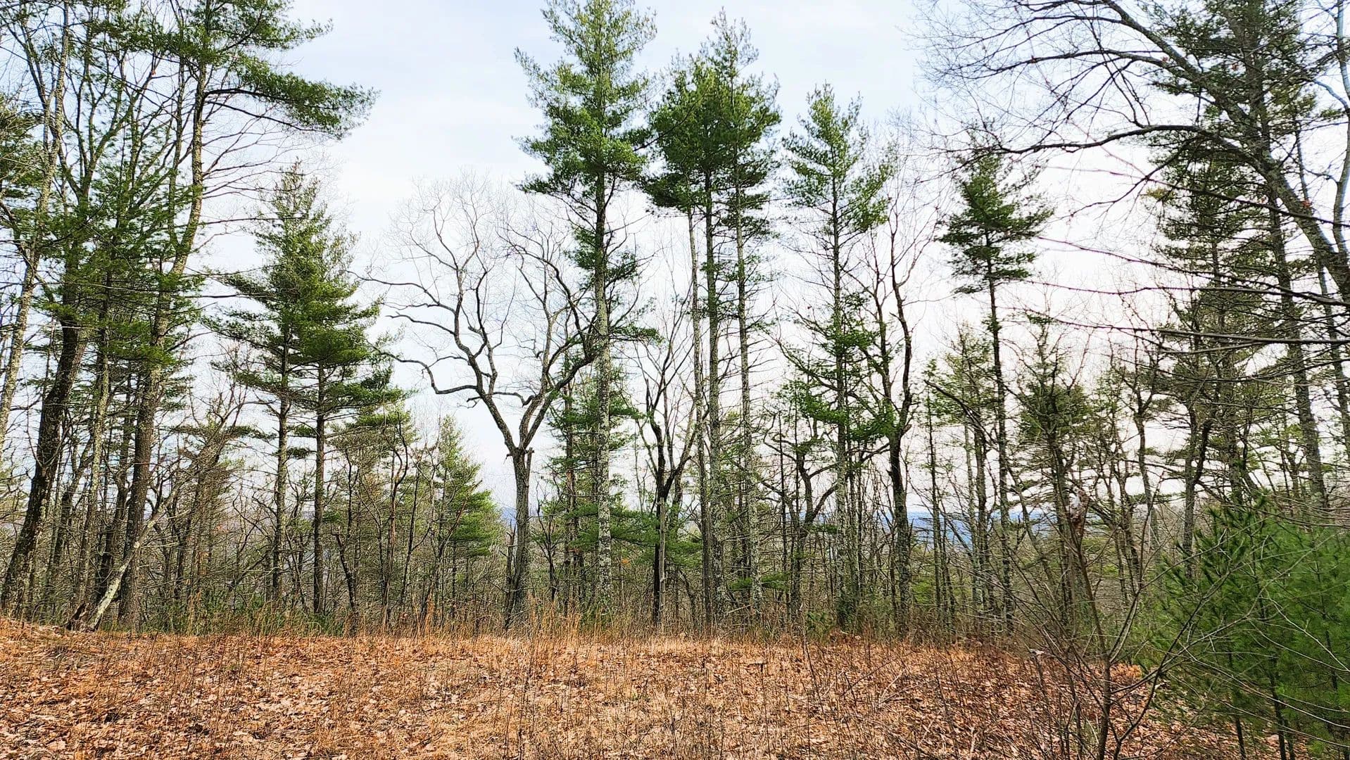 Vacant Land in Milford - Milford, Pennsylvania, 18337