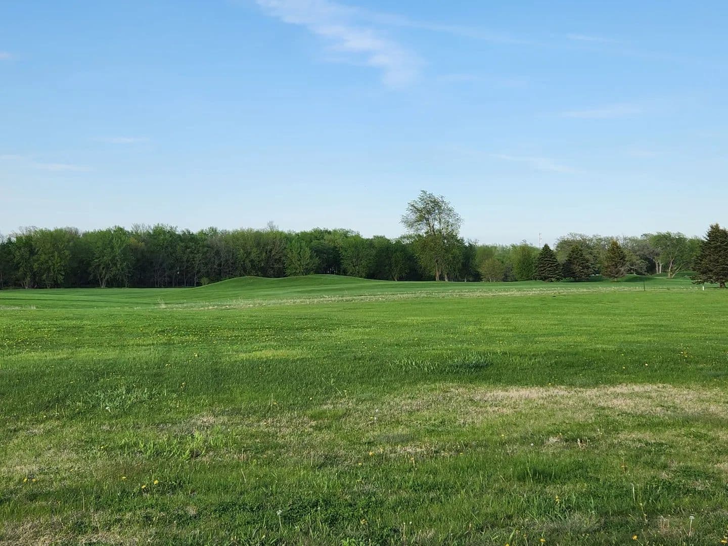 Lots & Land-Other in Sheffield - Sheffield, Iowa, 50475
