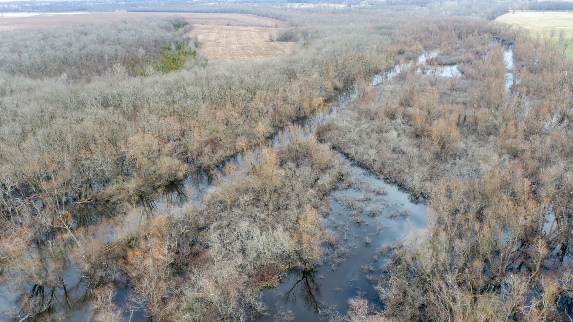 Bolen Slough  - Idabel, Oklahoma, 74745