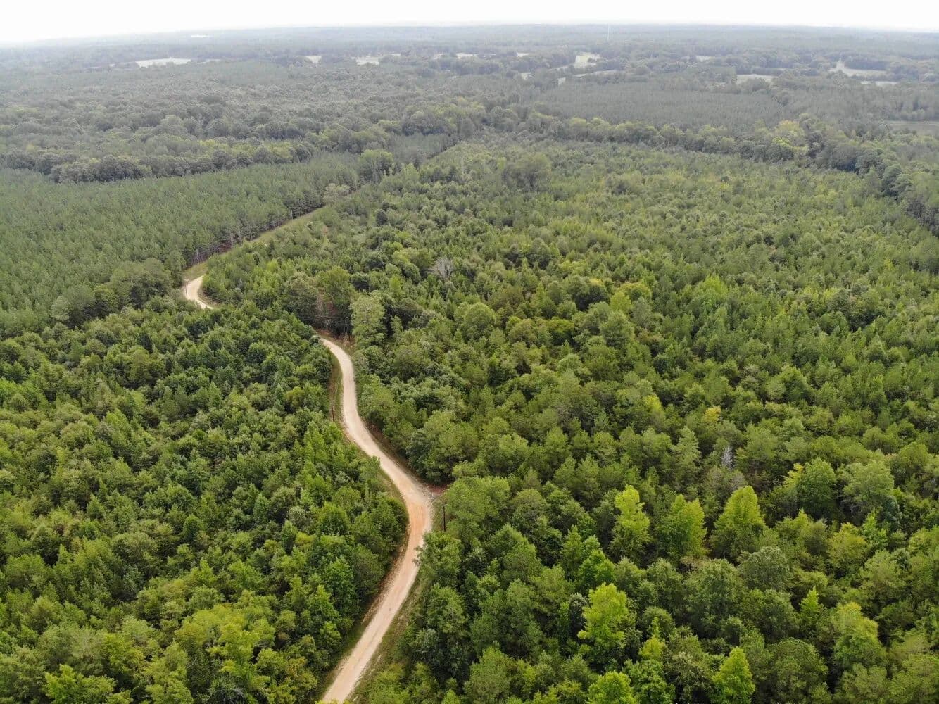 Chenault Drive Hunting and Recreation - Saluda, South Carolina, 29138