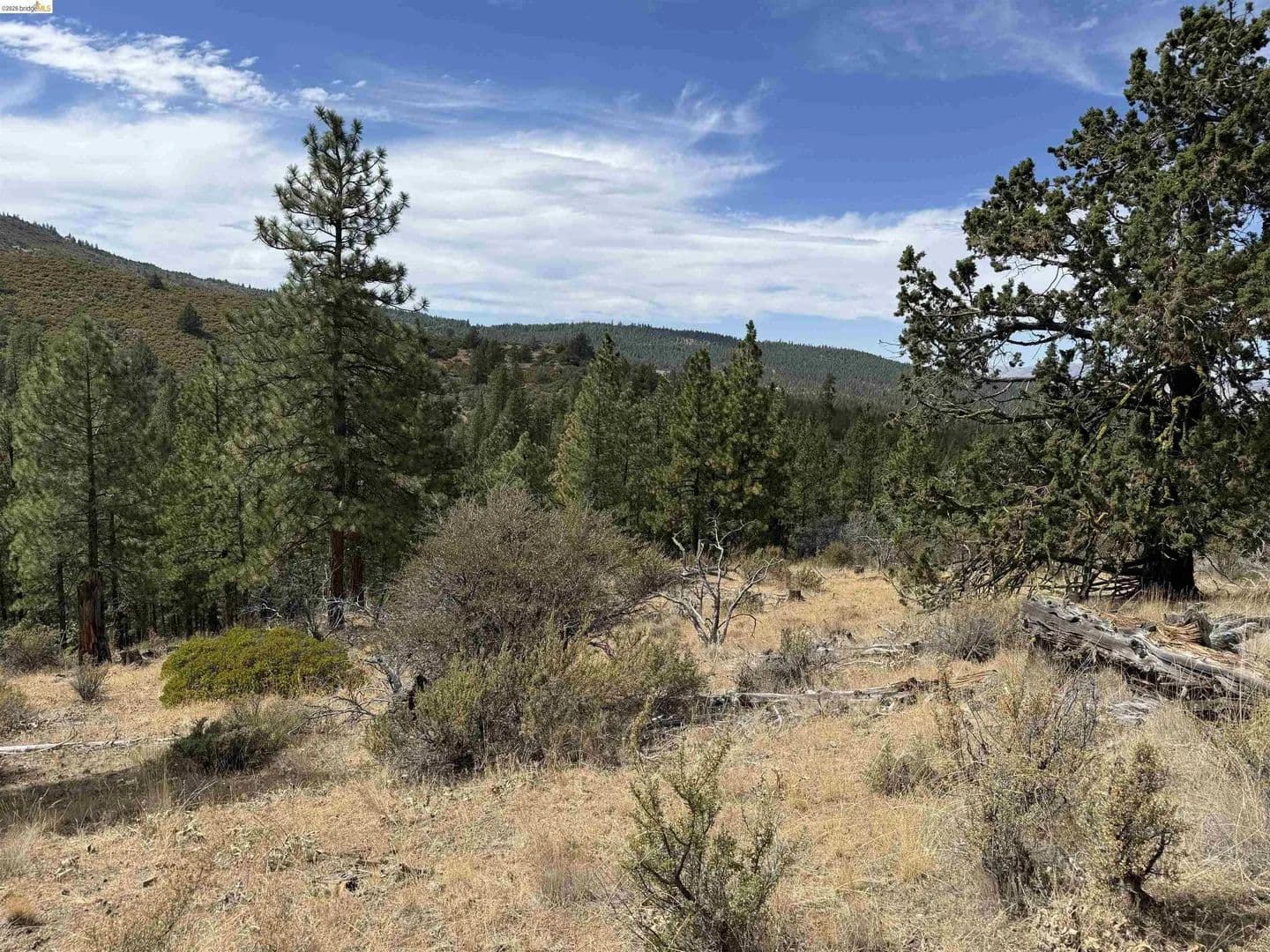Lots & Land-Other in Bieber - Bieber, California, 96009