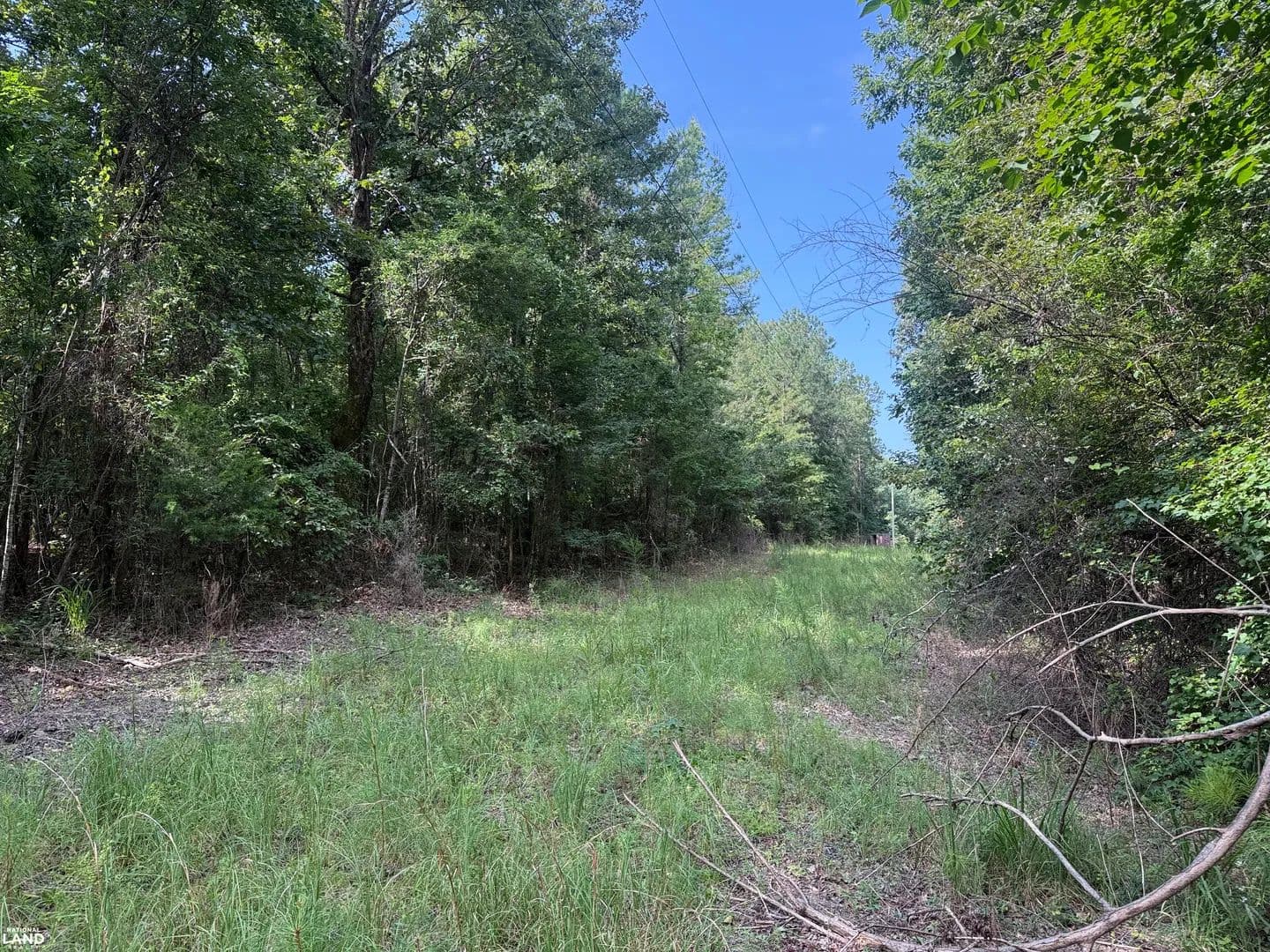 Dempsey Road Hunting Tract - Sulligent, Alabama, 35586
