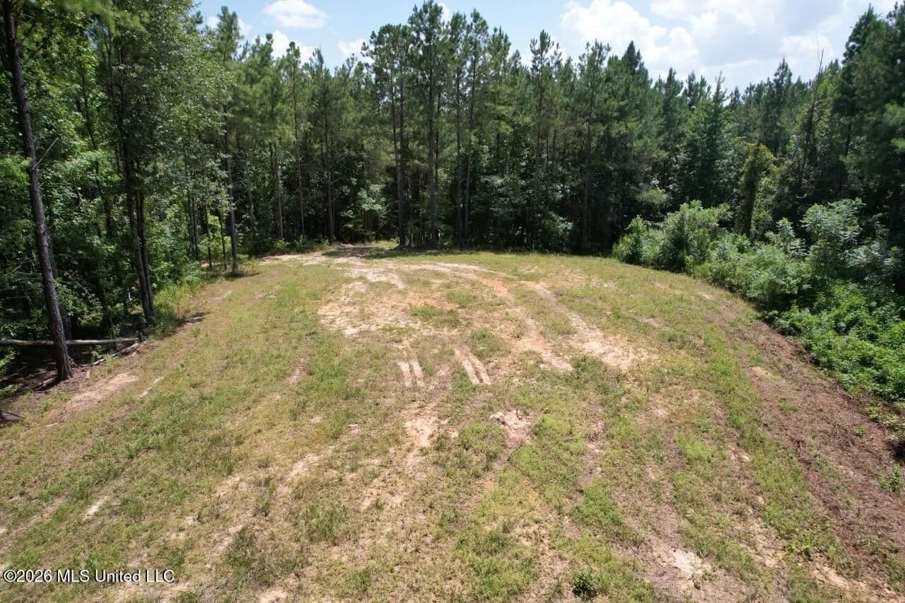 11± Acres in McCall Creek, MS with Creek Frontage - Mccall Creek, Mississippi, 39647