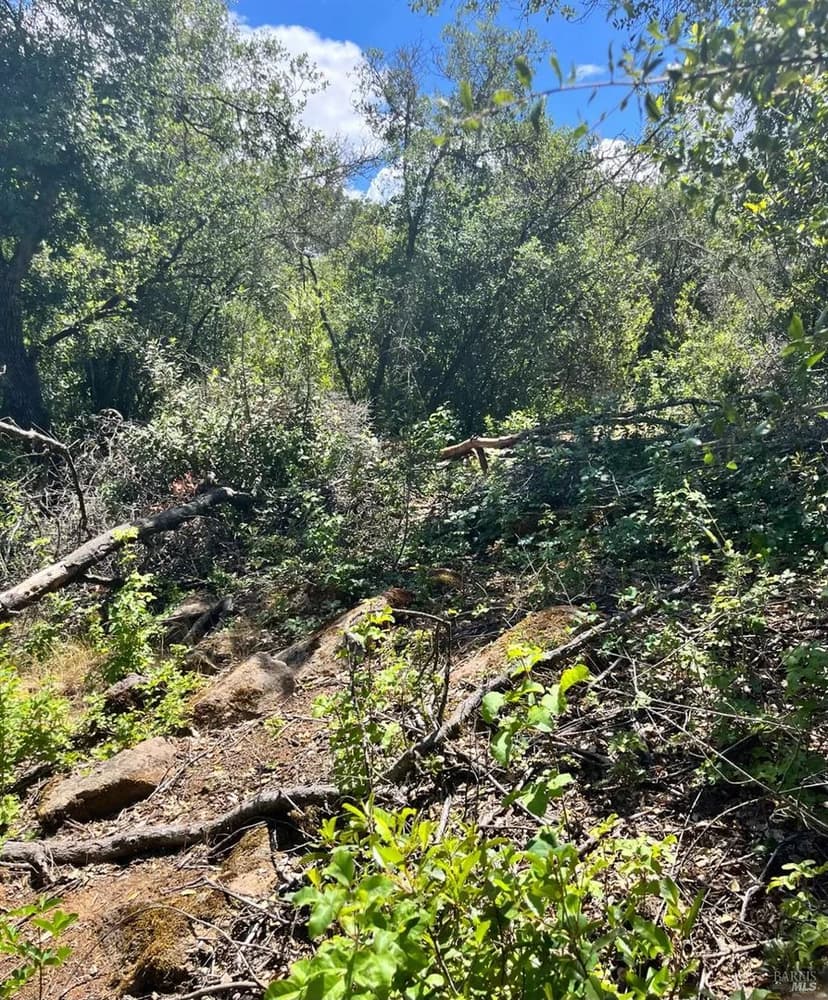 Lots & Land-Other in Clearlake