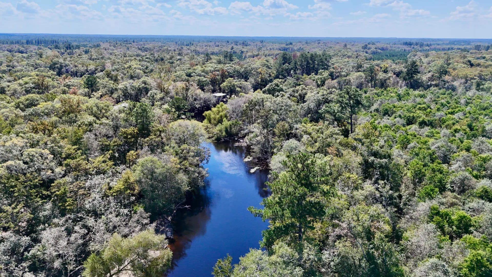Little Satilla River Paradise - Blackshear, Georgia, 31539
