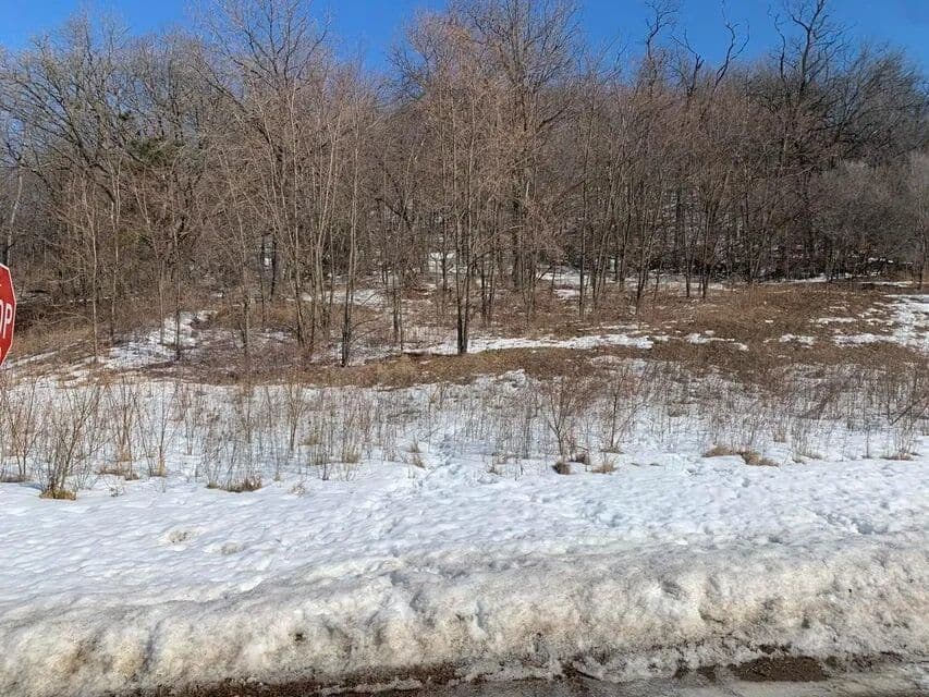 Vacant Land in Stockton - Stockton, Minnesota, 55987
