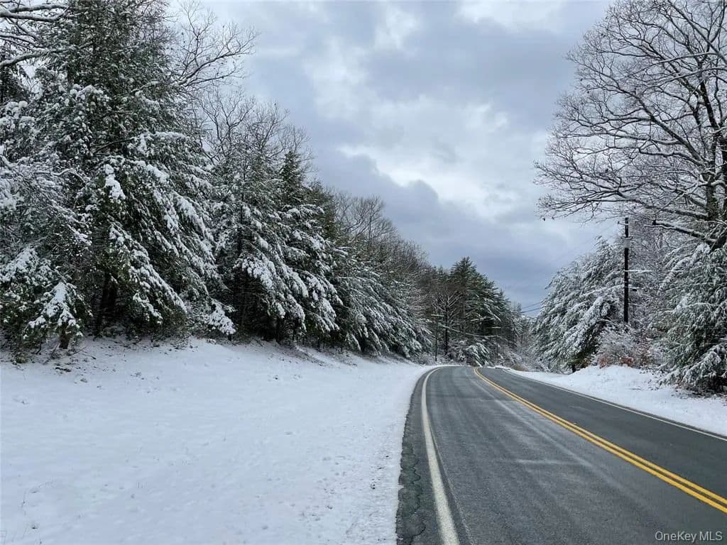 Lots & Land-Other in Forestburgh - New York, 12777