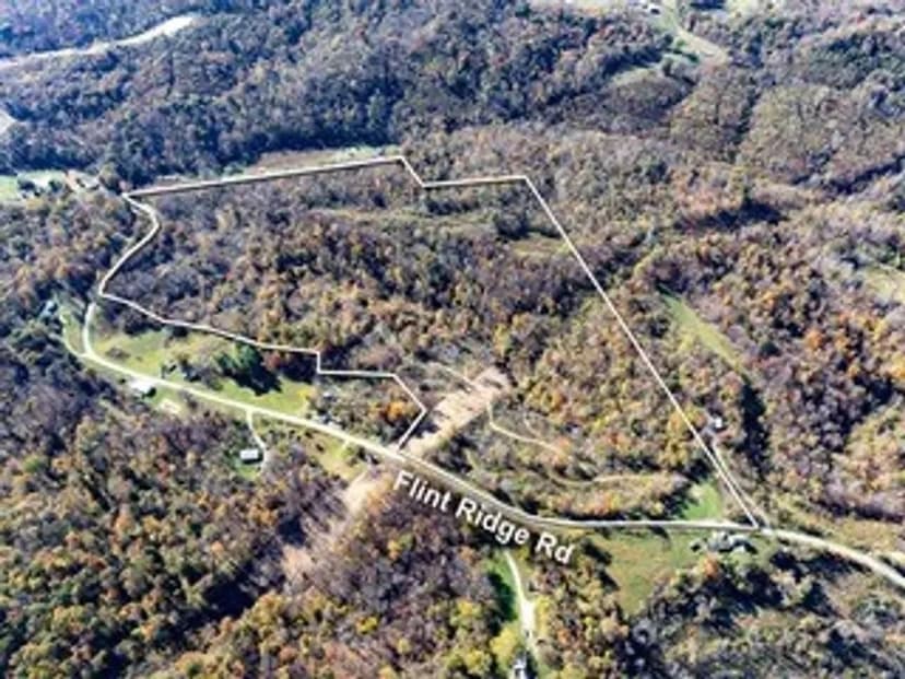 Flint Ridge Rd - 63 acres