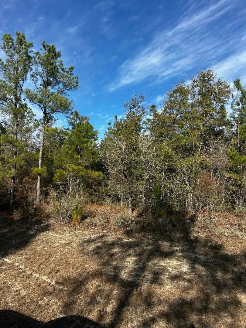 Vacant Land in Chipley
