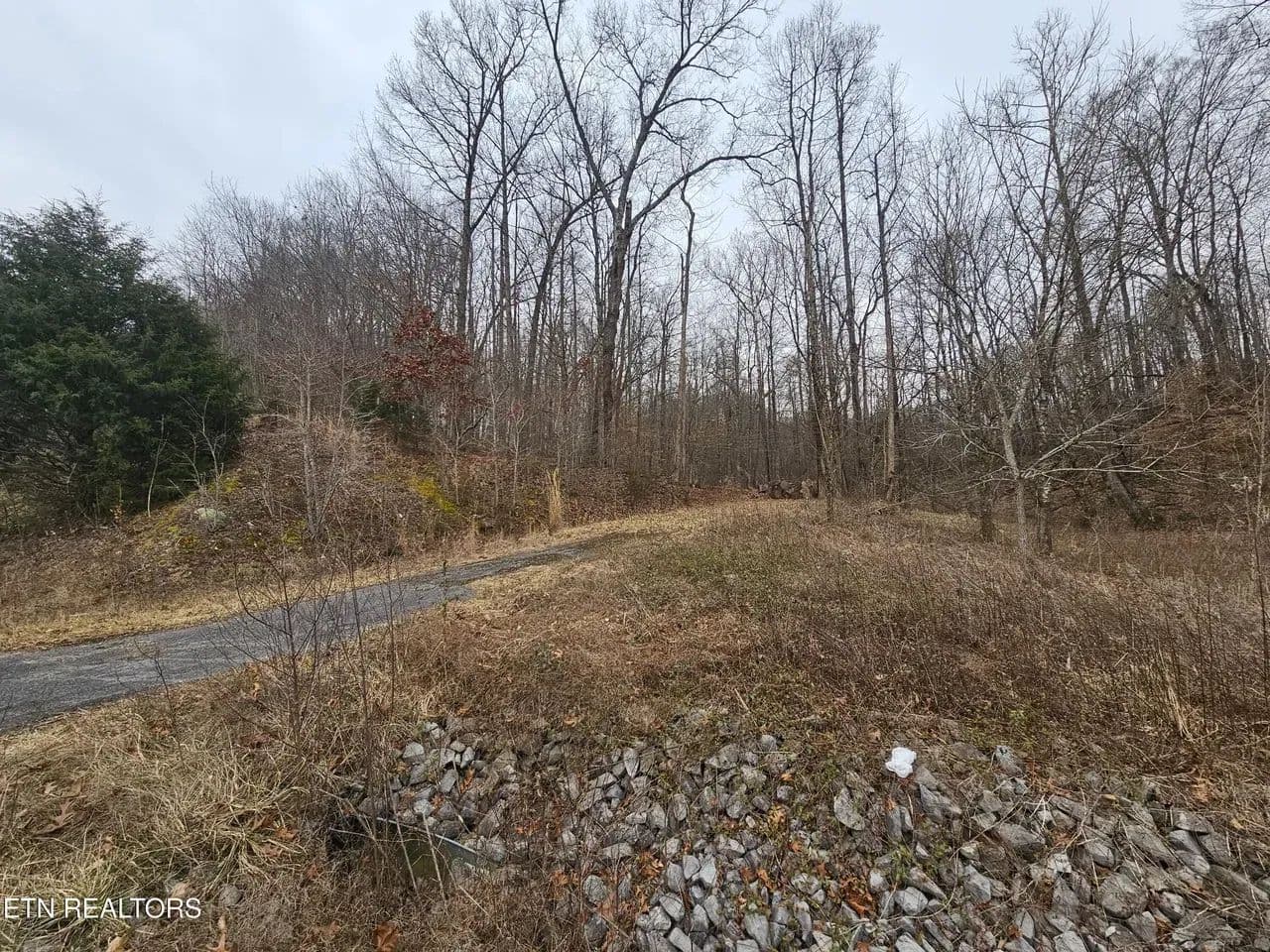 Land -Agricultural (Not Zoned) in Jonesville - Jonesville, Virginia, 24263