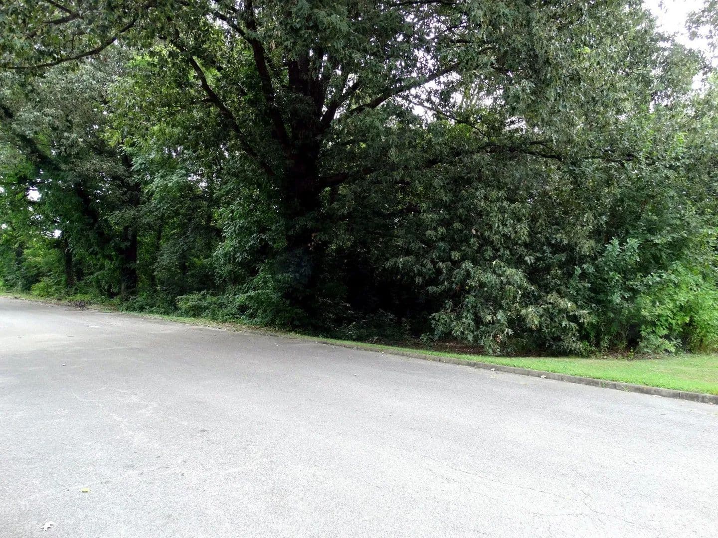 Vacant Land in Evansville - Evansville, Indiana, 47714