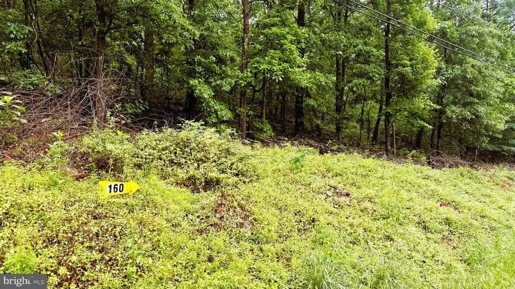 Property from LOT 160 HAWK TRAIL - KW - Winchester, Virginia, 22603