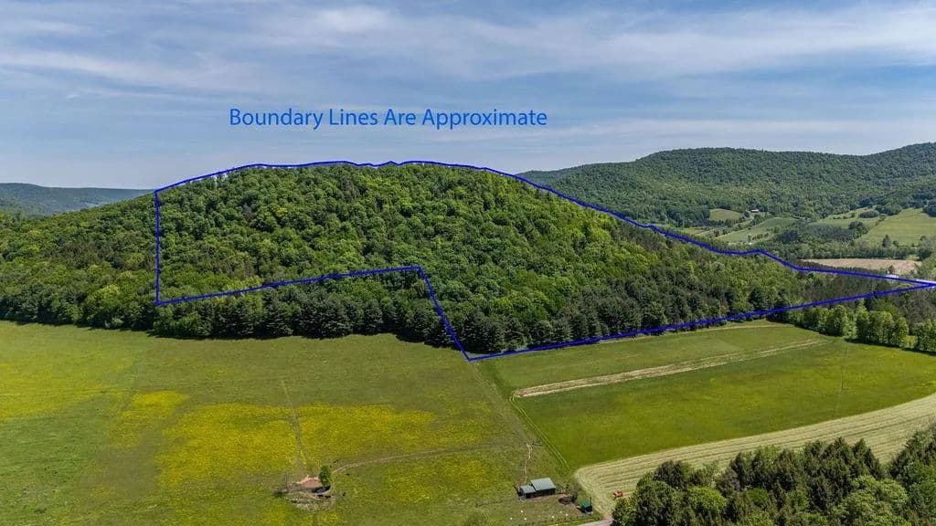 Property from 033A (parcel) Route 6 (LAND) - KW - Roulette, Pennsylvania, 16746