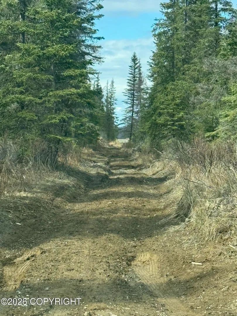 Vacant Land in Nikiski/north Kenai - Alaska, 99611