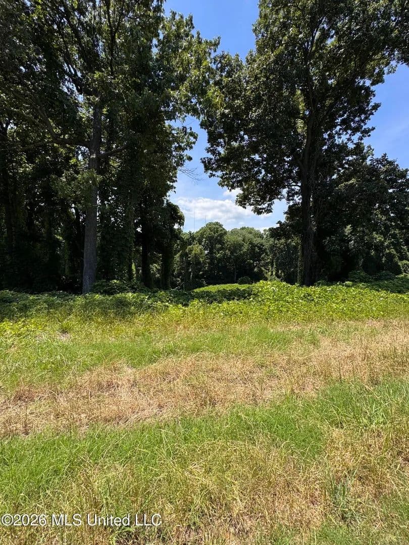 Property from 10533 Spring River Cove - KW - Lake Cormorant, Mississippi, 38641