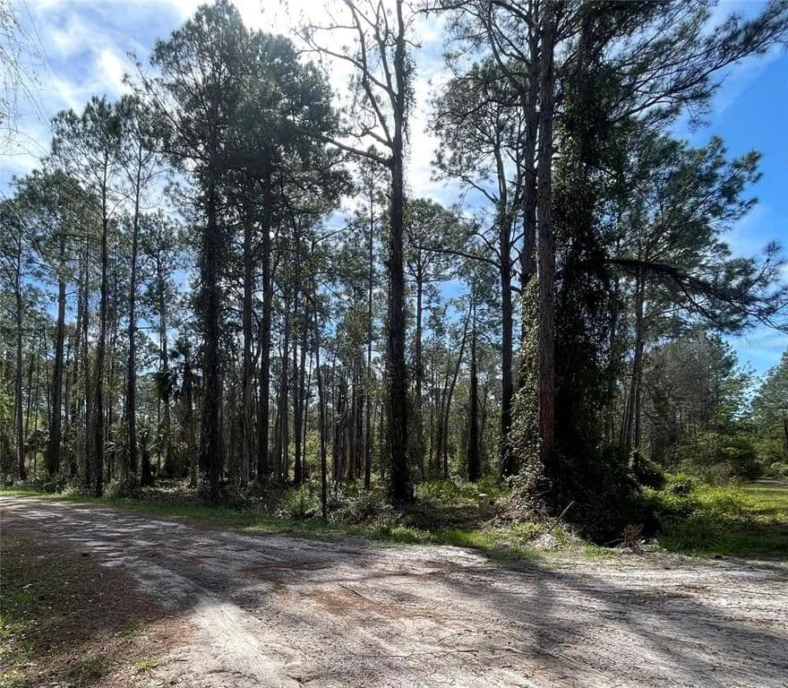 Vacant Land in Georgetown - Georgetown, Florida, 32139