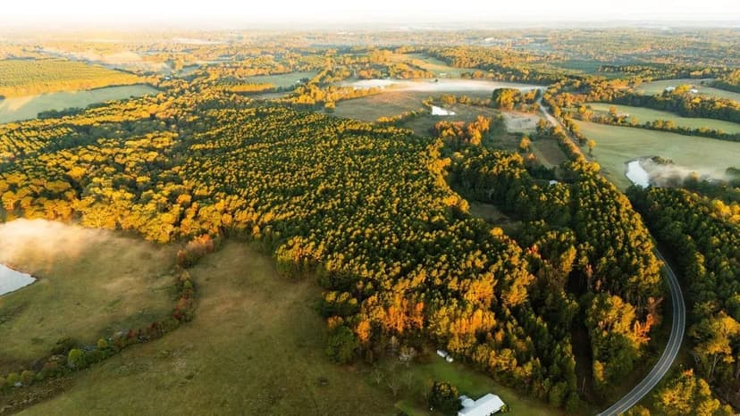 70 Acres - Jasper County