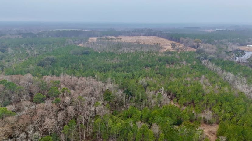 Whitetail Haven Retreat