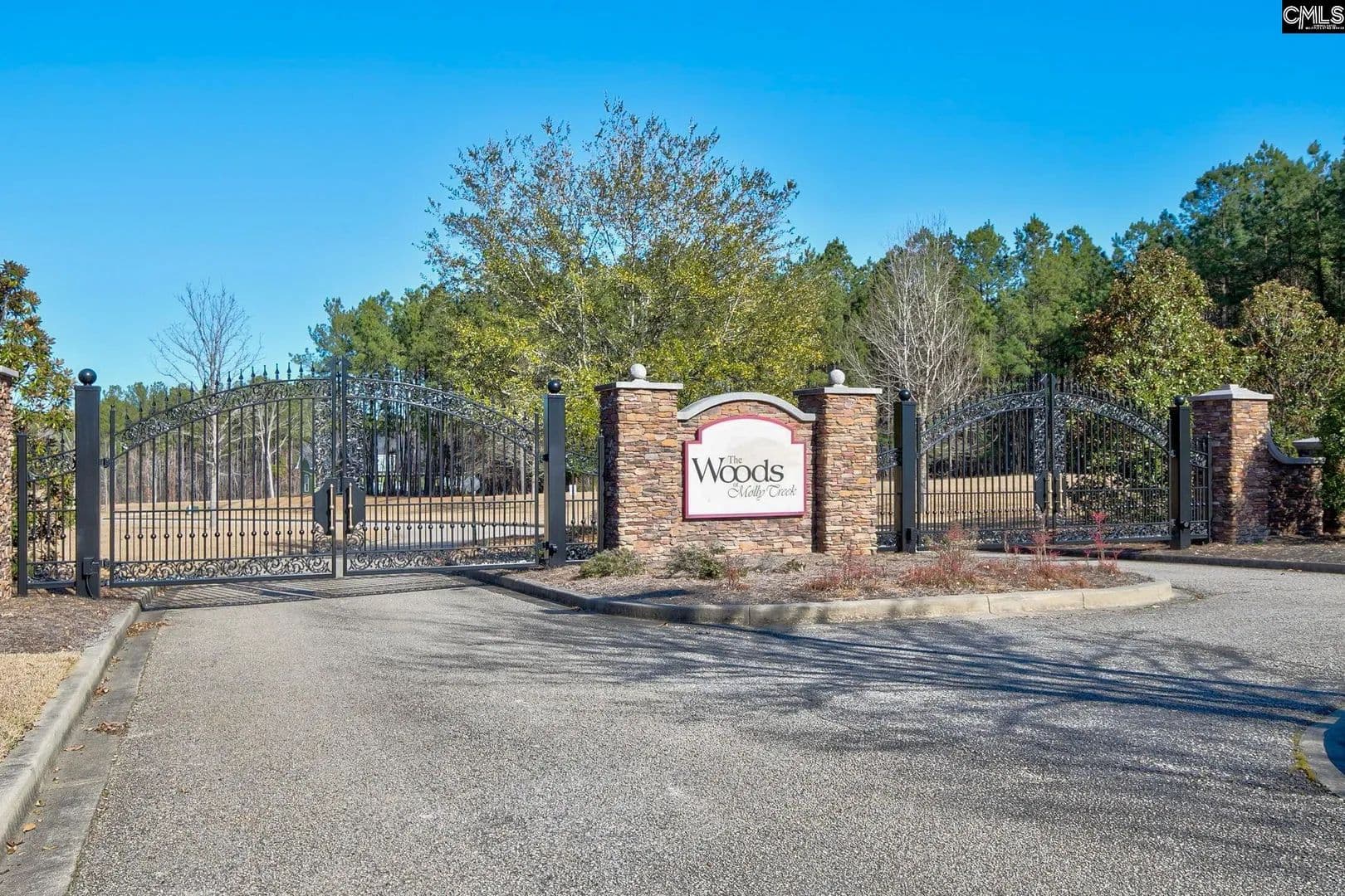 Vacant Land in Ridgeway - Ridgeway, South Carolina, 29130