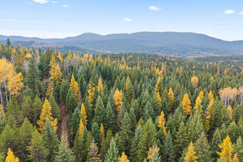 Property from 2094 Clugston Onion Creek Rd - KW