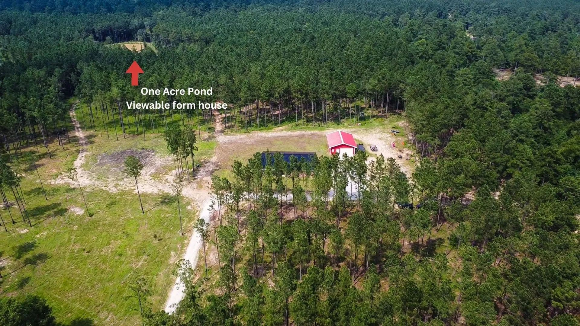 Vacant Land in Oakhurst - Oakhurst, Texas, 77359