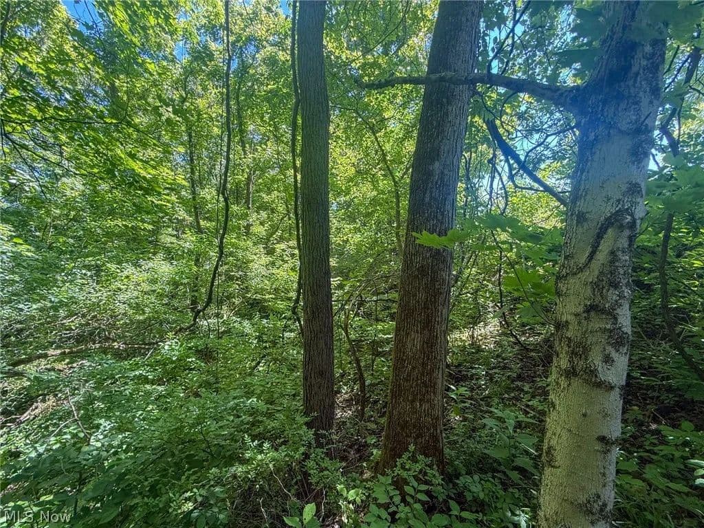 2.72 Acres of Land for Sale in Stockport, OH - Stockport, Ohio, 43787