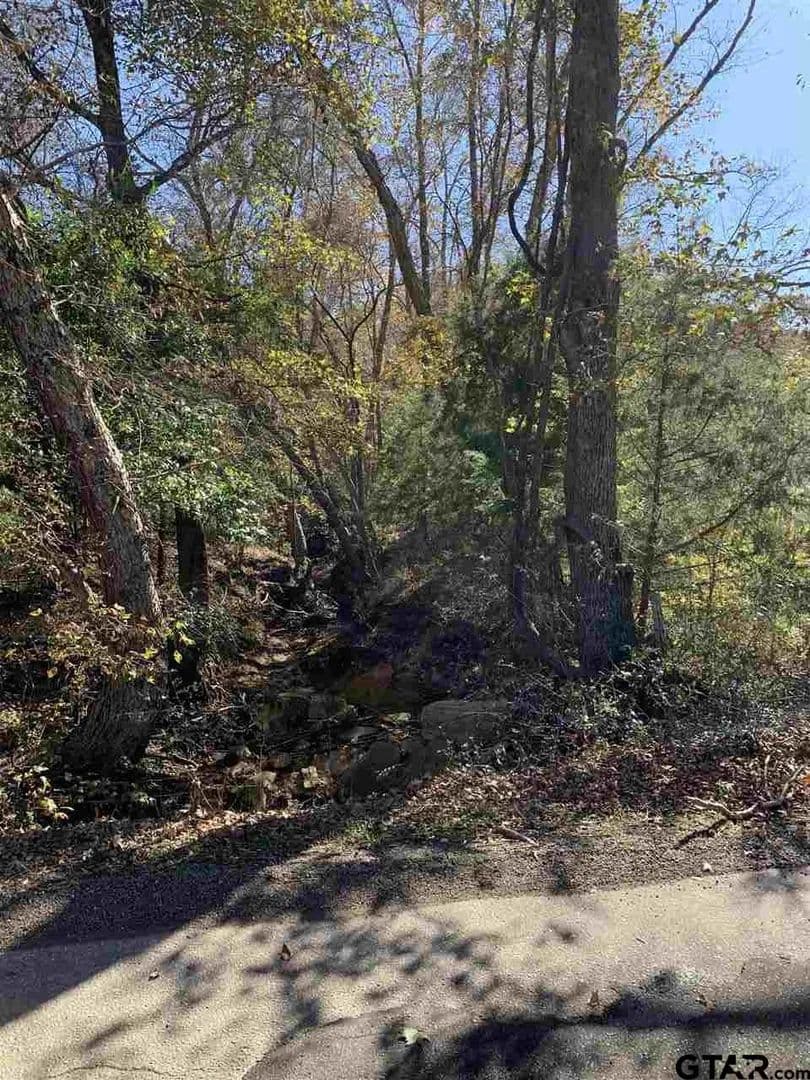 Vacant Land in Lindale - Lindale, Texas, 75771