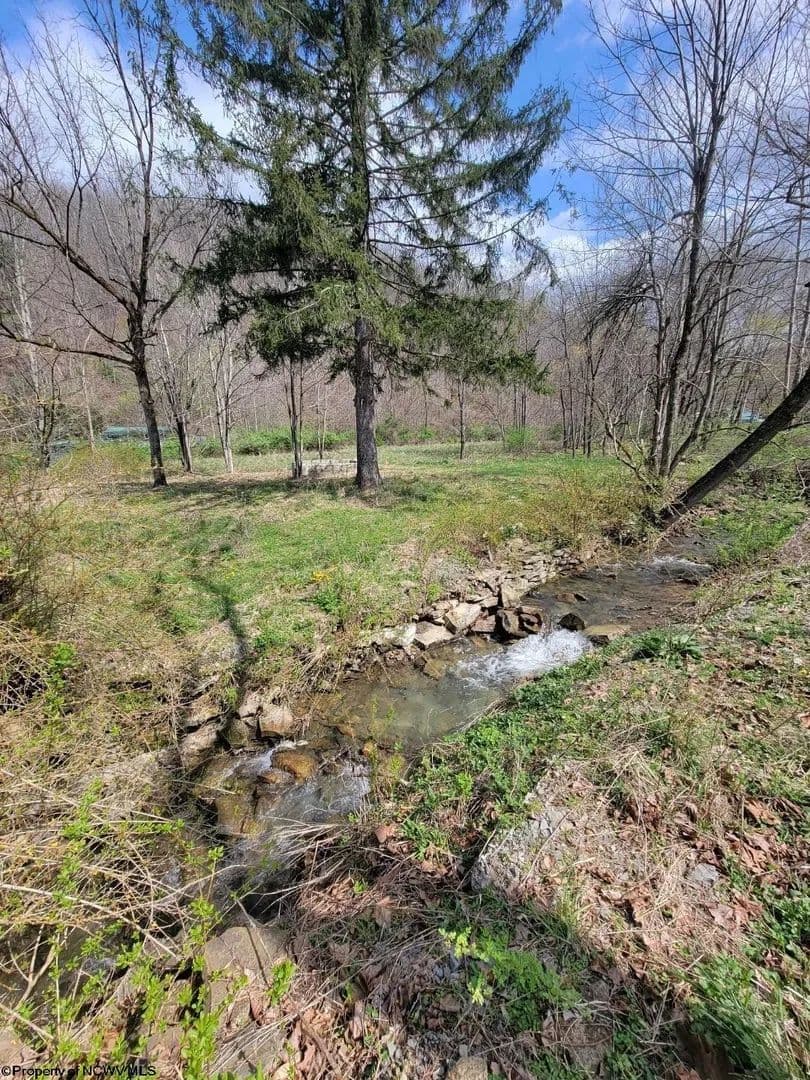 Lots & Land-Other in Elkins