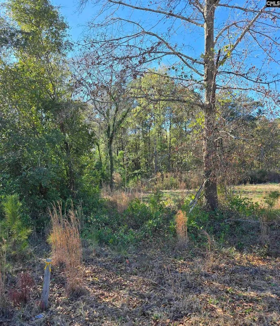 Vacant Land in Cayce - Cayce, South Carolina, 29033