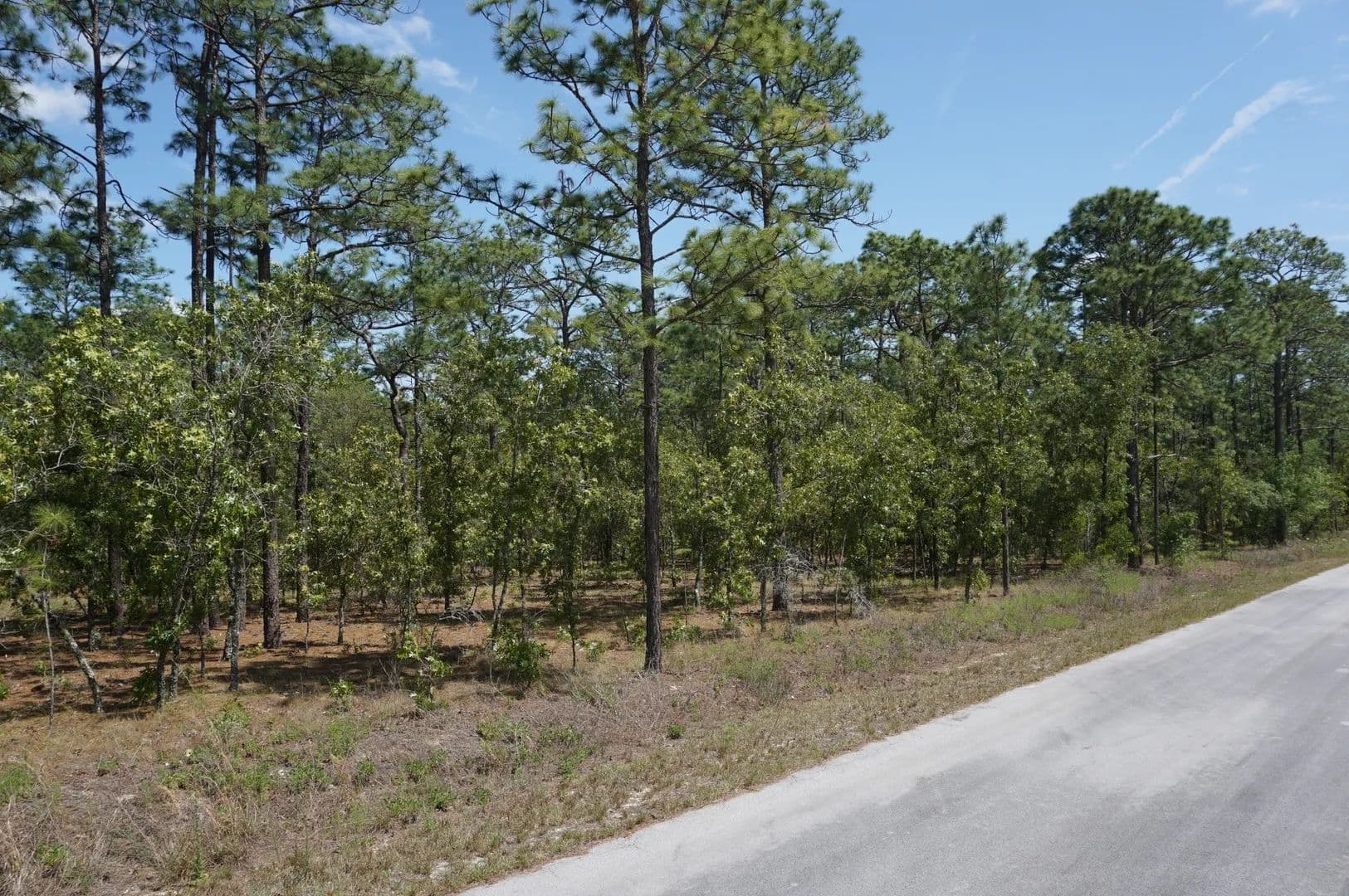 Lots & Land-Other in DUNNELLON - Dunnellon, Florida, 34431