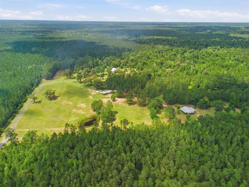 14.55 Acres of Land for Sale in Dequincy, LA - Dequincy, Louisiana, 70663