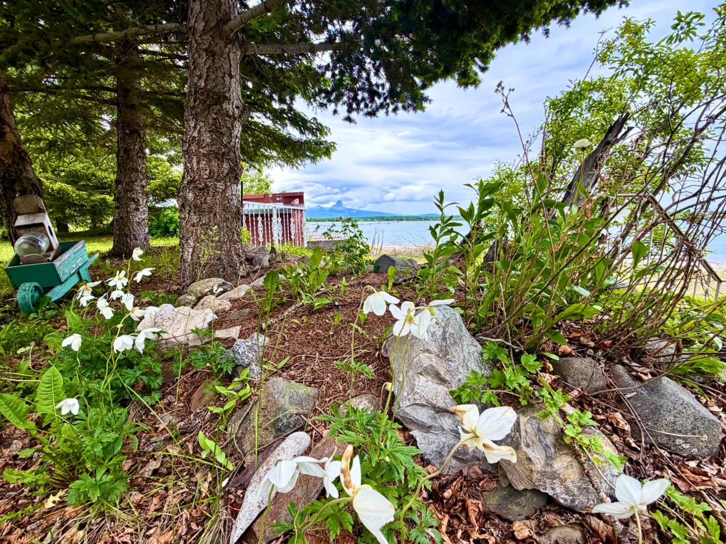 Luminous Lake Life - Babb, Montana, 59411