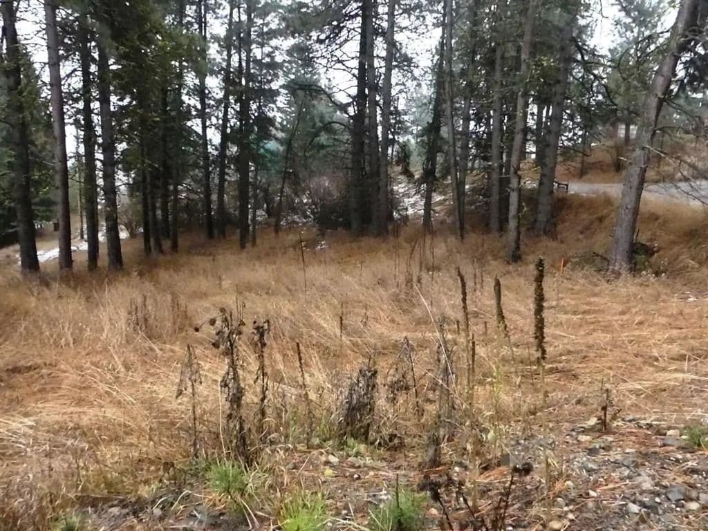 Lots & Land-Other in Cascade - Cascade, Idaho, 83638