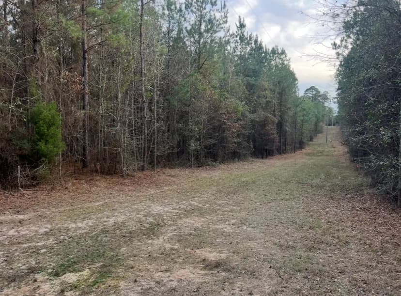 40 Acres For Sale in Choudrant, Louisiana