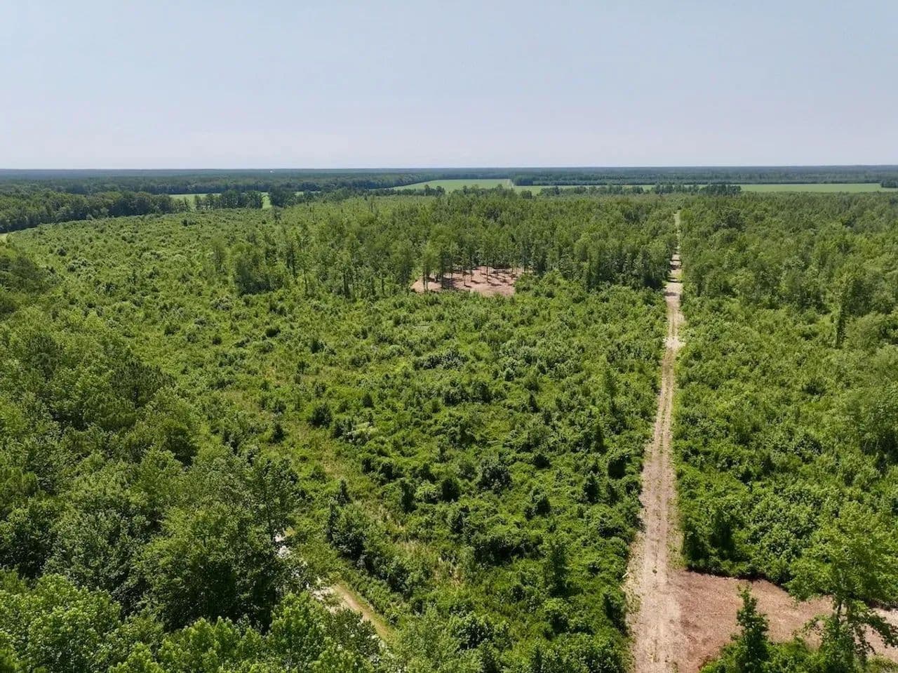 34.85 acres of Versatile Hunting Land For Sale in Craven County NC! - Ernul, North Carolina, 28527