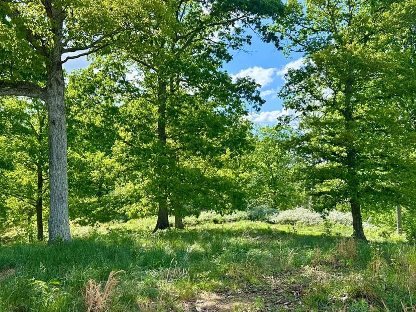 Land -Single Family Acreage in London