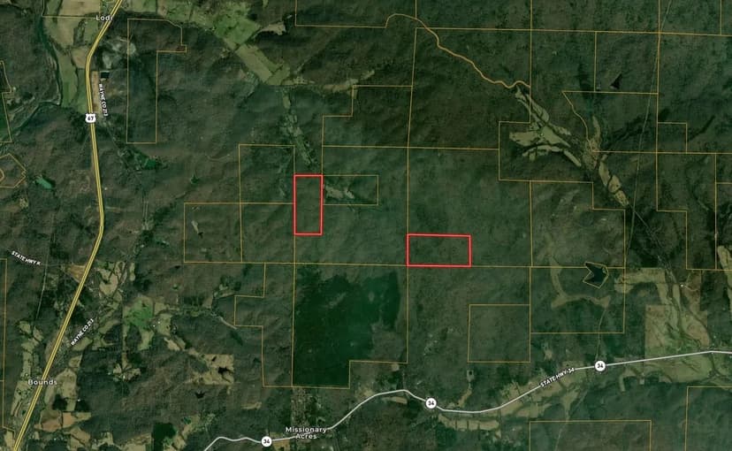 80± AC Wooded Parcel Near Silva, MO