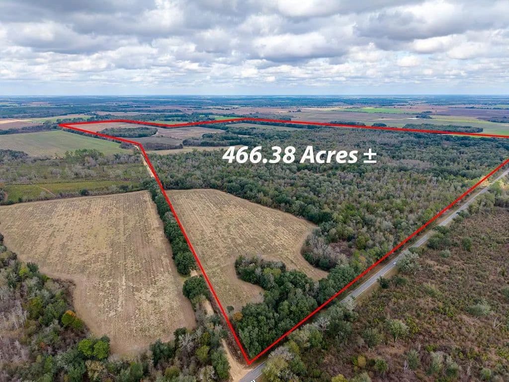 Vacant Land in Colquitt - Colquitt, Georgia, 39837