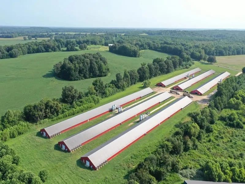 Great Smoky Broiler Farm – Six SUPER House Farm in Henry County, TN - Cottage Grove, Tennessee, 38224