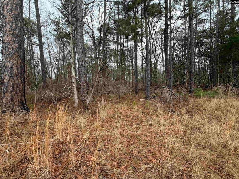 Vacant Land in Prosperity