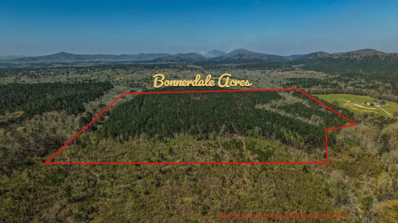 60± Acres | Caddo Mountains | Borders Ouachita National Forest | Harvest-Ready Pine Plantation - Bonnerdale, Arkansas, 71933