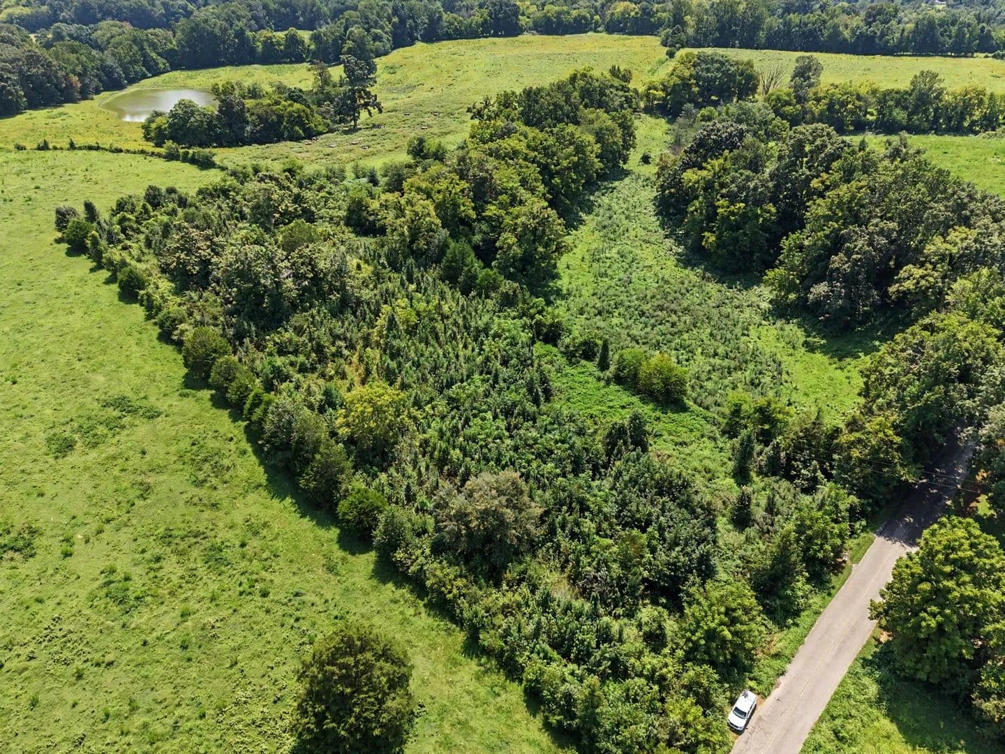 3 Acres of Land for Sale in Prospect, TN - Prospect, Tennessee, 38477