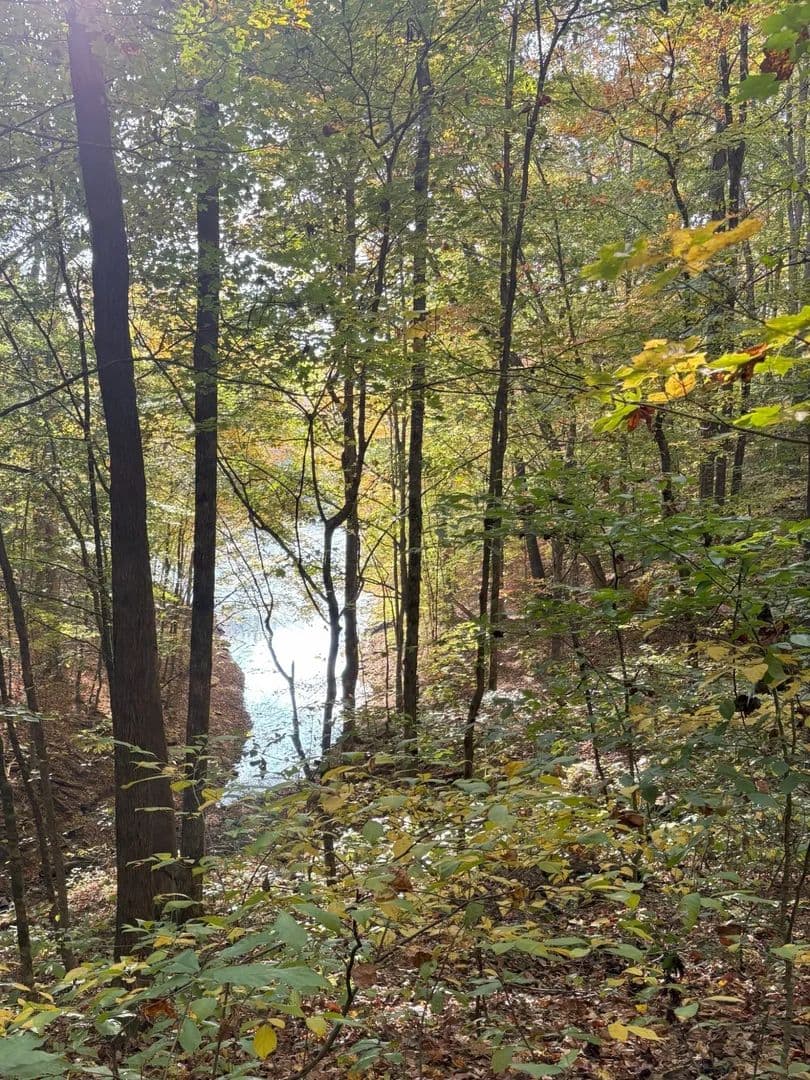 Lots & Land-Other in Estill Springs - Estill Springs, Tennessee, 37330