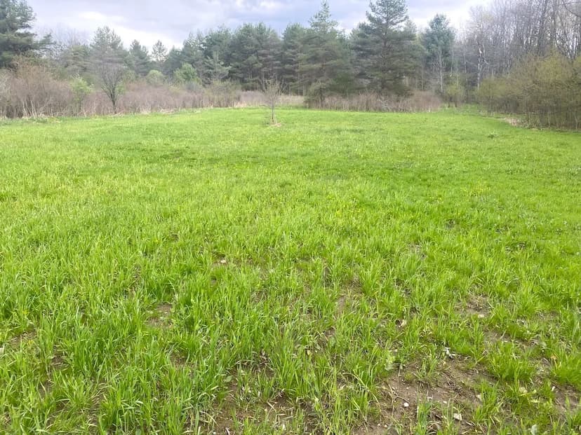 18 acres Recreational Land and Building Lot bordering State Land in Caneadea NY 6281 East Hill Rd