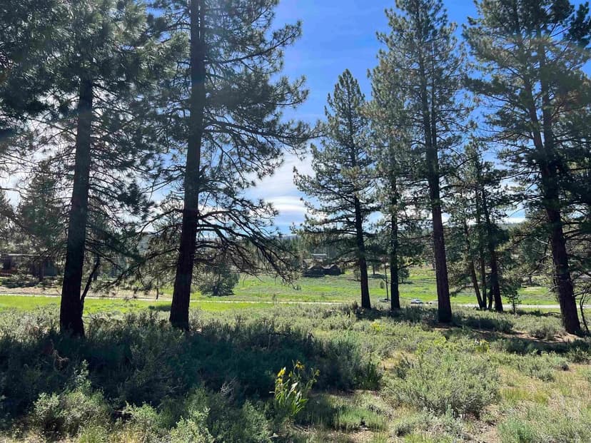 Lots & Land-Other in Truckee