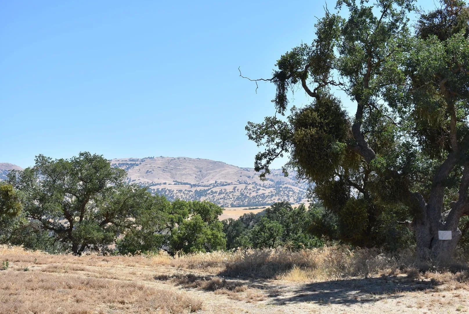 Lots & Land-Other in Tehachapi - Tehachapi, California, 93561